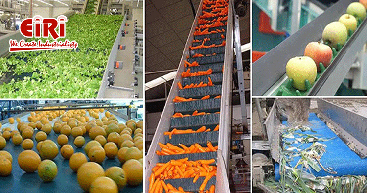 Fruit and Vegetable Processing Business