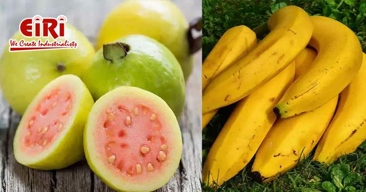 Fruit Based Business Ideas - Fruit Processing - Banana and  Guava Based Products