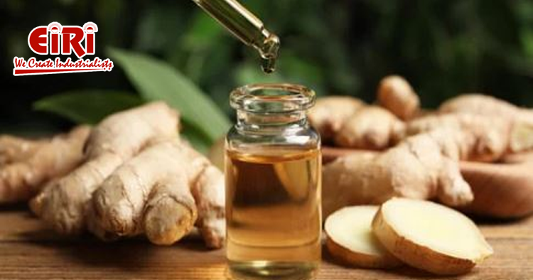 Ginger Oil Manufacturing - Market Forecast and Manufacturing Process Project Report