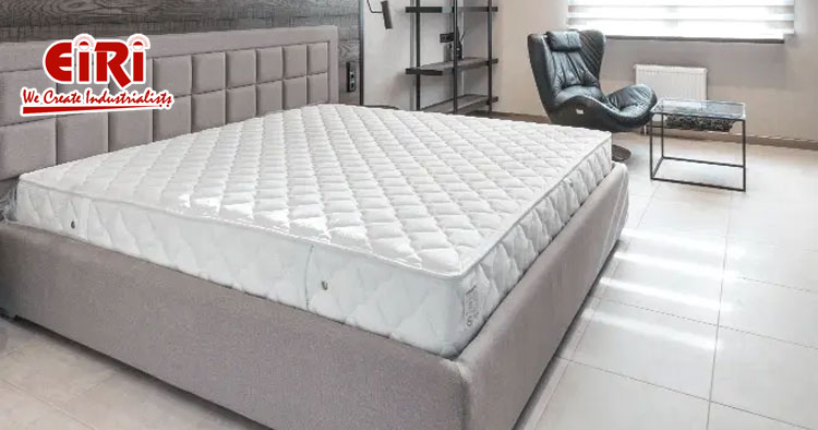 Production Plant of Latex Mattress, Market Demand, and Future Forecast