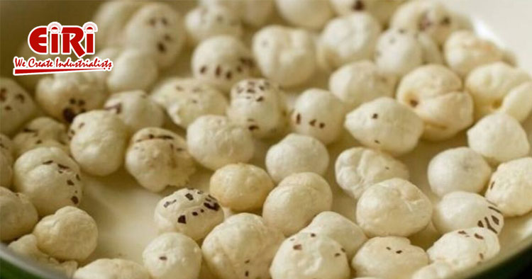 Makhana (Fox Nut) Products Business Ideas