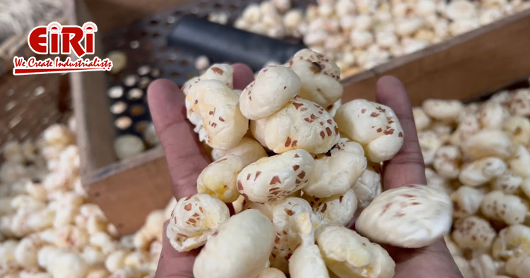 Makhana Processing Business Idea: A Comprehensive Guide