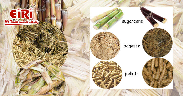 Market trends and growth prospects of biodegradable products from sugarcane bagasse