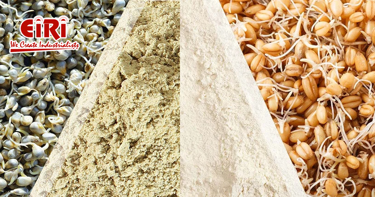 Millet (Sprouted) Processing Plant - Gluten Free and Plant Based Diets to Boost the Market Growth