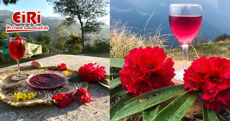 Rhododendron Flower Wine: A Hidden Gem in the World of Beverages