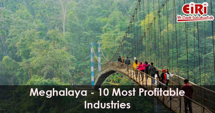 10 Manufacturing Business Ideas for Meghalaya