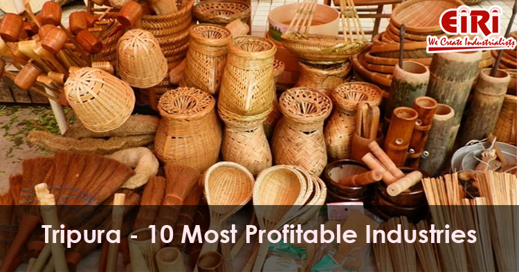 10 Manufacturing Business Ideas for Tripura