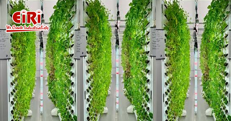 Vertical Farming Equipment Manufacturing Unit - An Overview